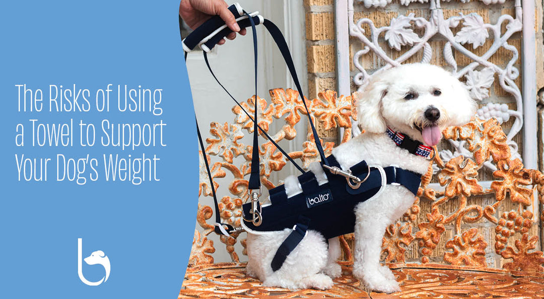 the risks of using a towel to support your dog weight blog feature image