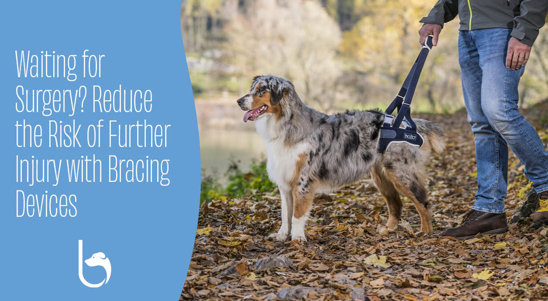 Waiting for Surgery? Reduce the Risk of Further Injury with Bracing Devices