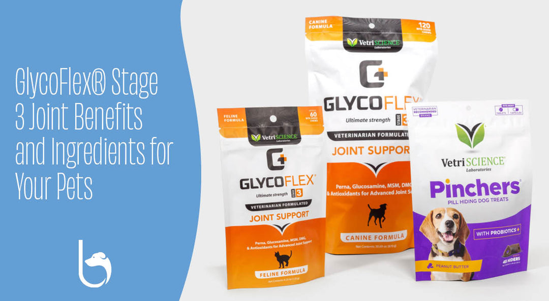 glycoflex 3 for canines and felines at balto usa