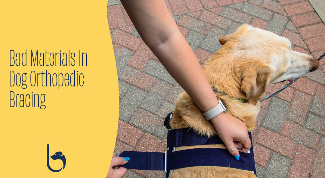 Bad Materials In Dog Orthopedic Bracing