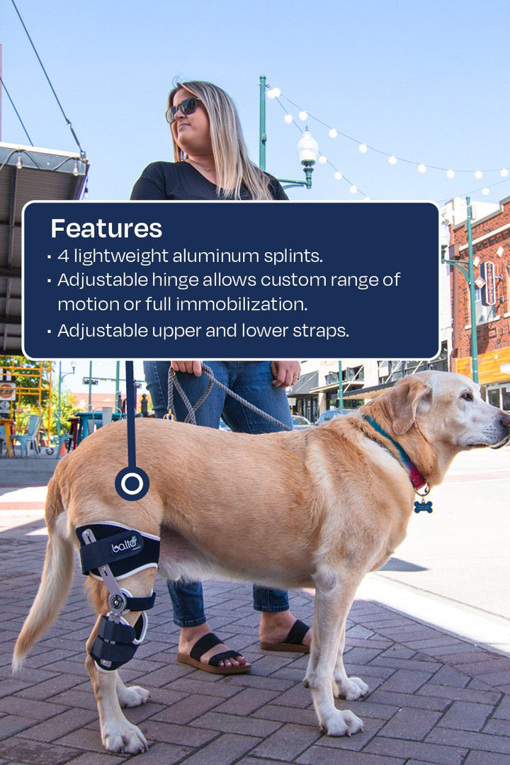 balto ligatek infographic