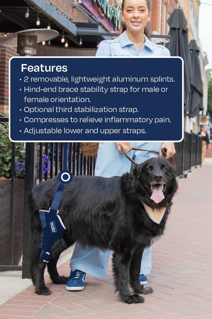 balto jump infographic