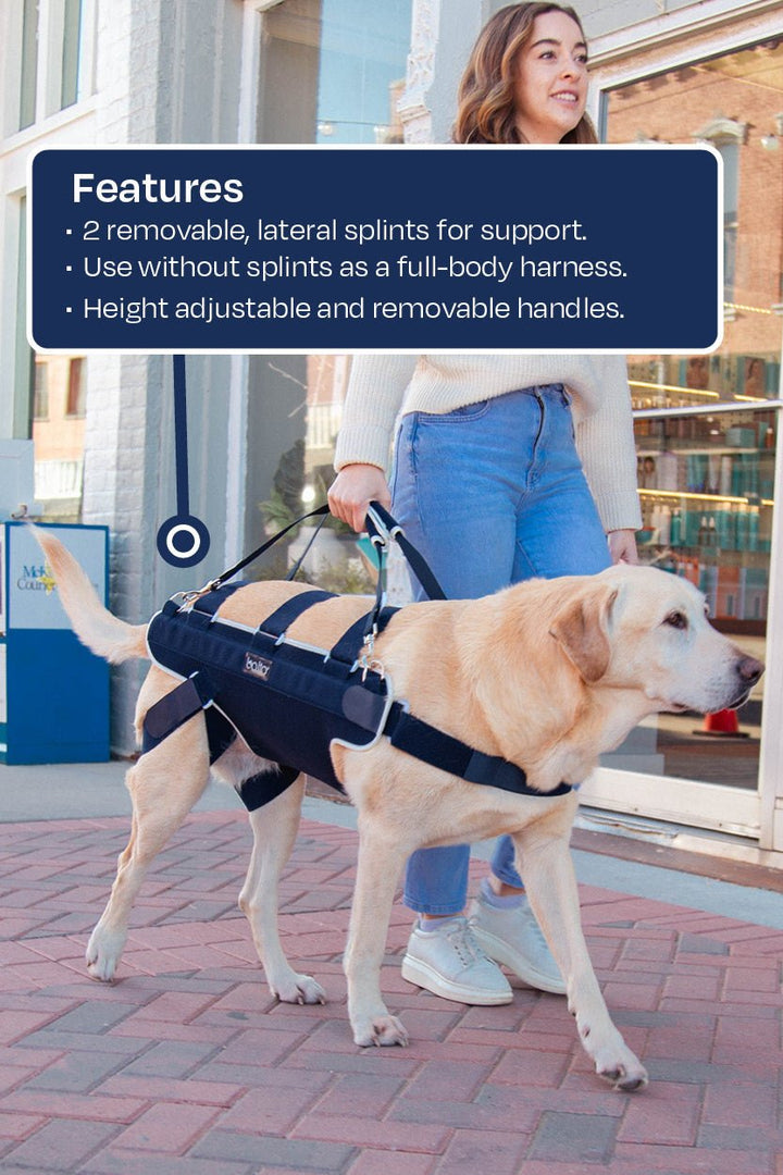 balto body lift features