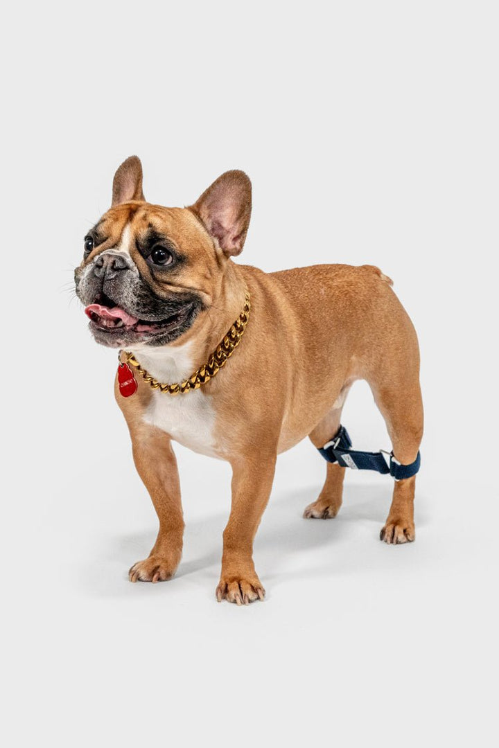 Link - Rear Legs Control