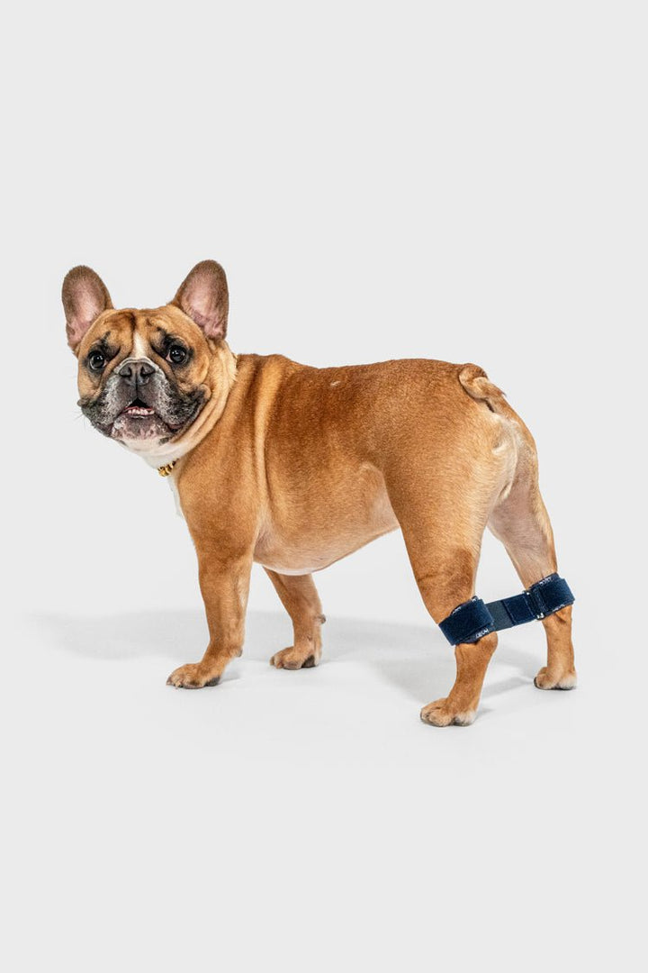 Link - Rear Legs Control