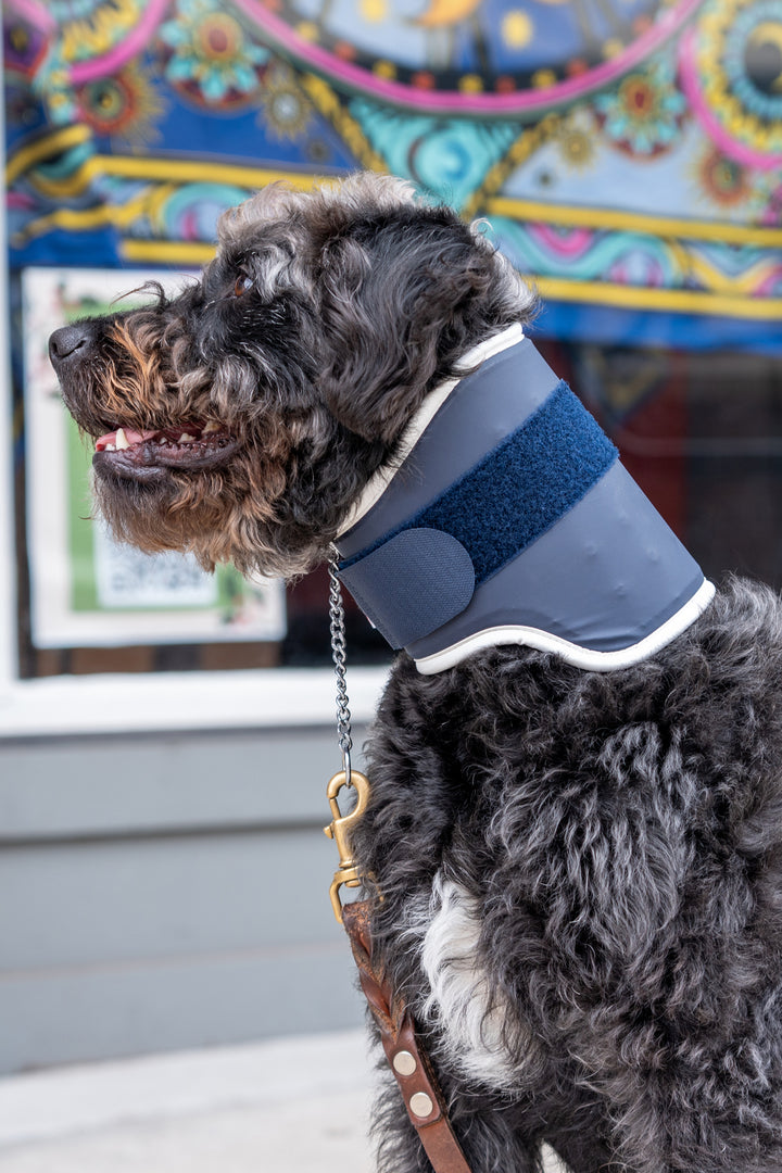 balto neck for canine detail view