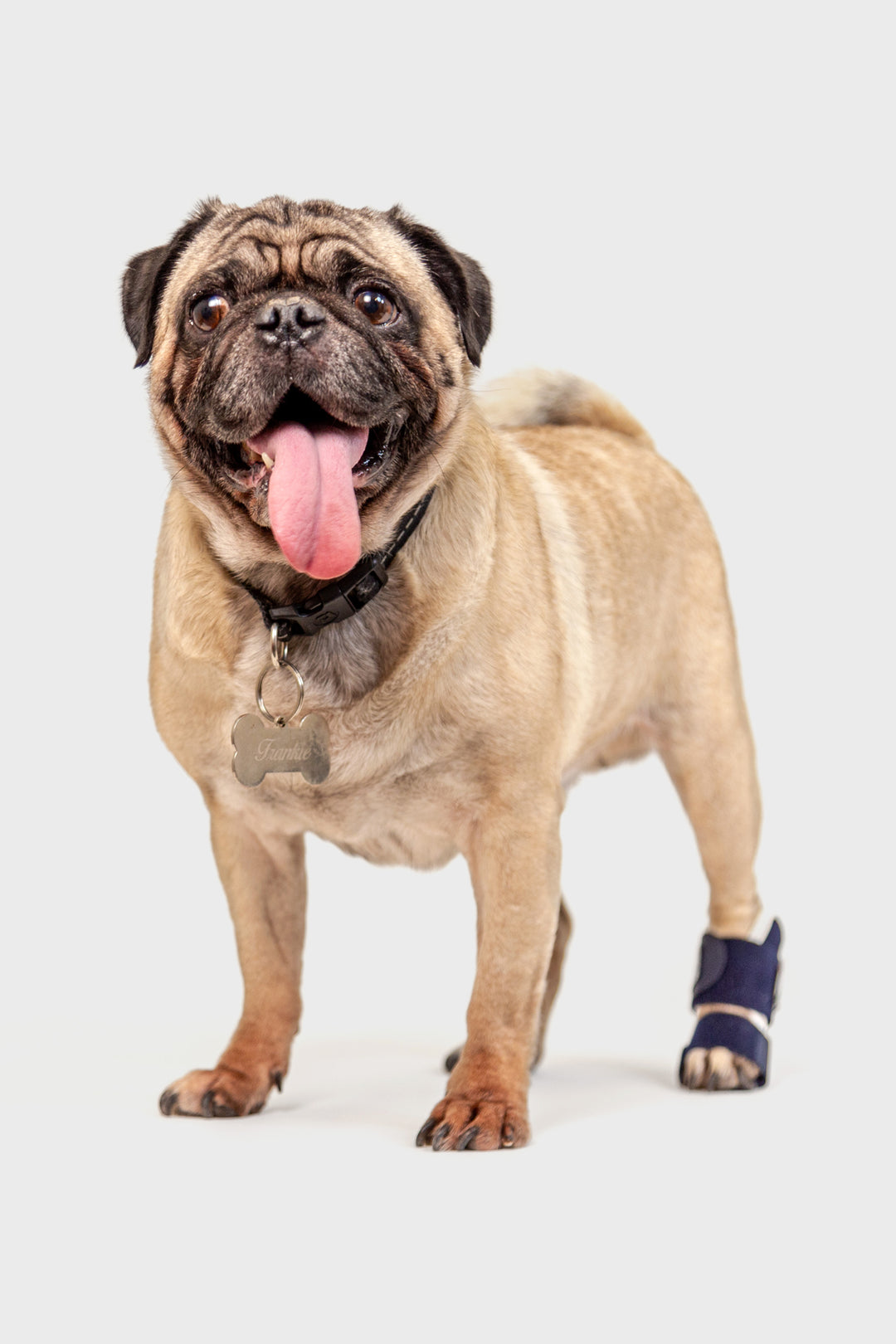 Splint – Carpal/Metatarsal Laxity Splint