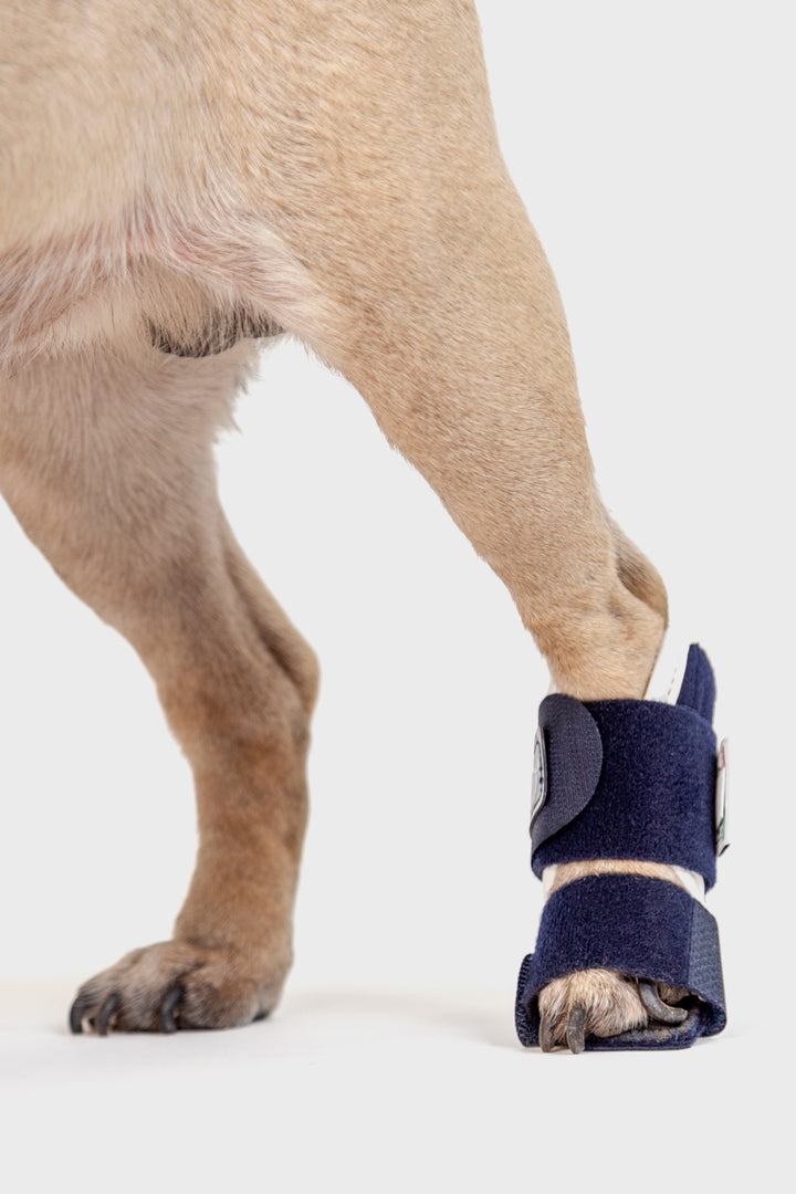 Splint – Carpal/Metatarsal Laxity Splint