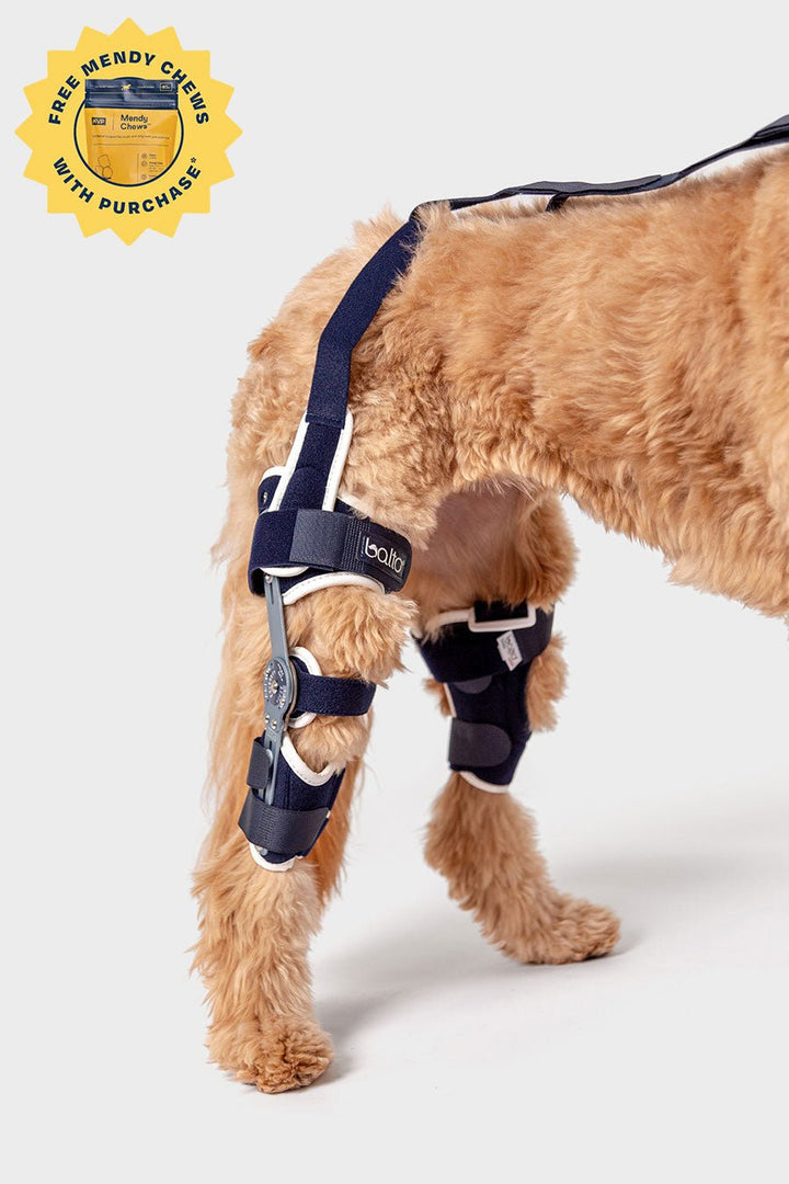 Right Advanced Knee Plus