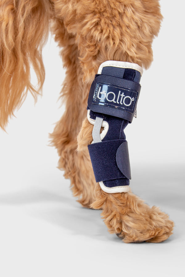 balto hock brace