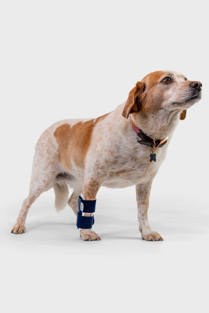 Joint – Carpal Compression Band