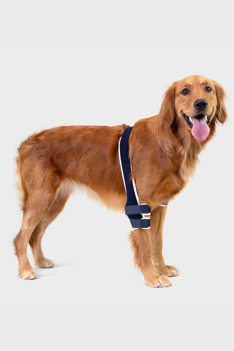 balto soft brace for canine elbow support