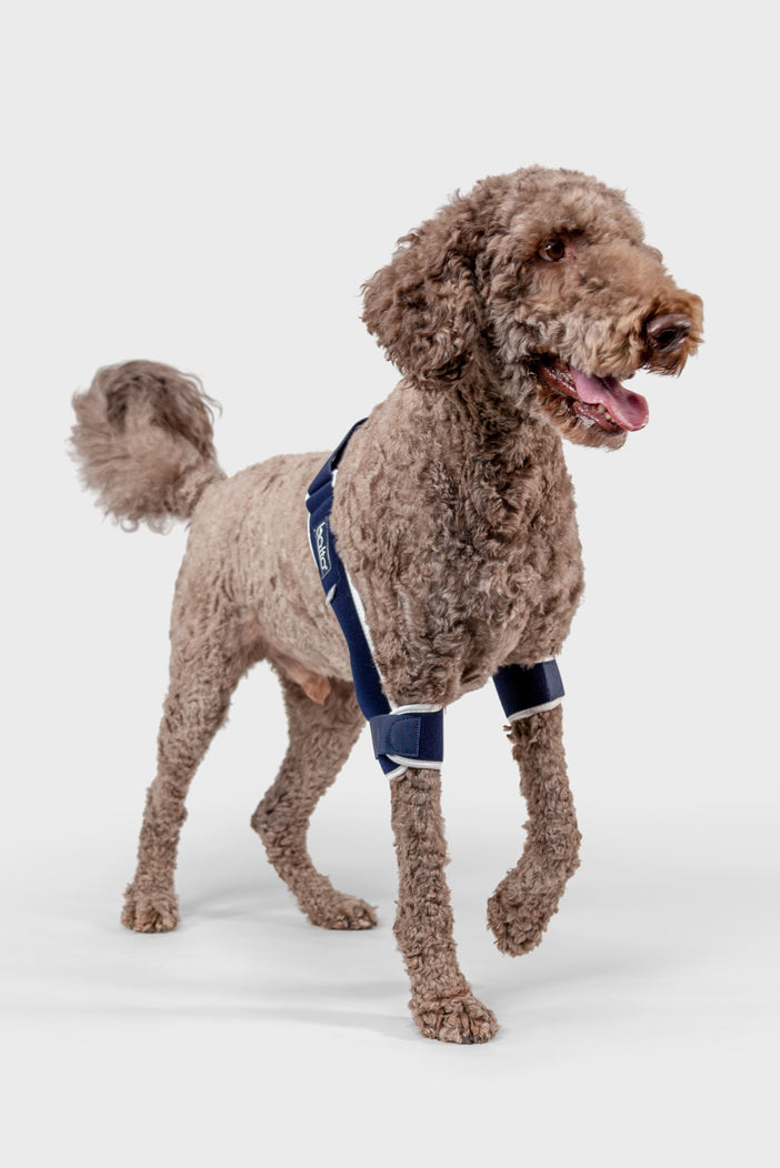 Soft Plus – Double Elbow Brace