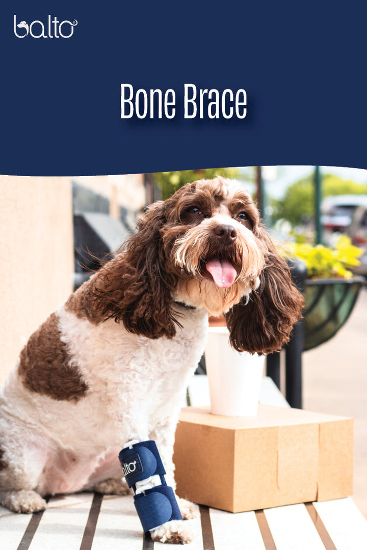 balto bone brace overview video
