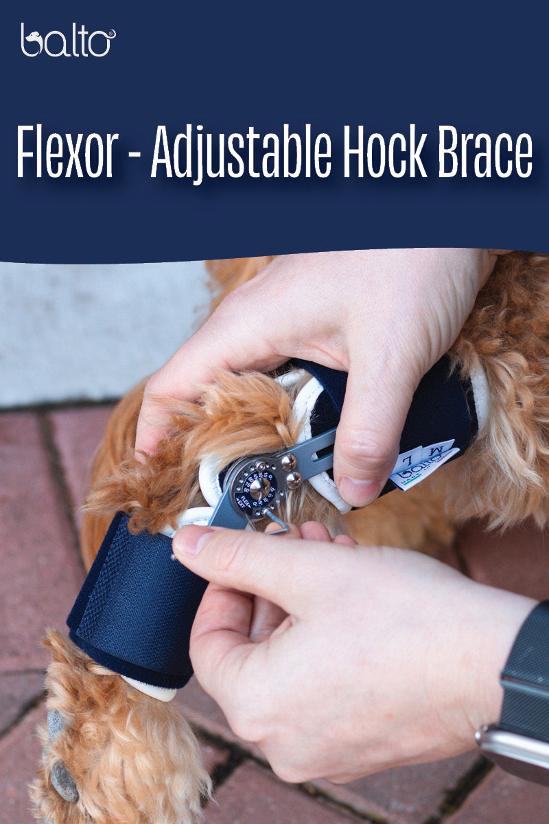 balto flexor video overview