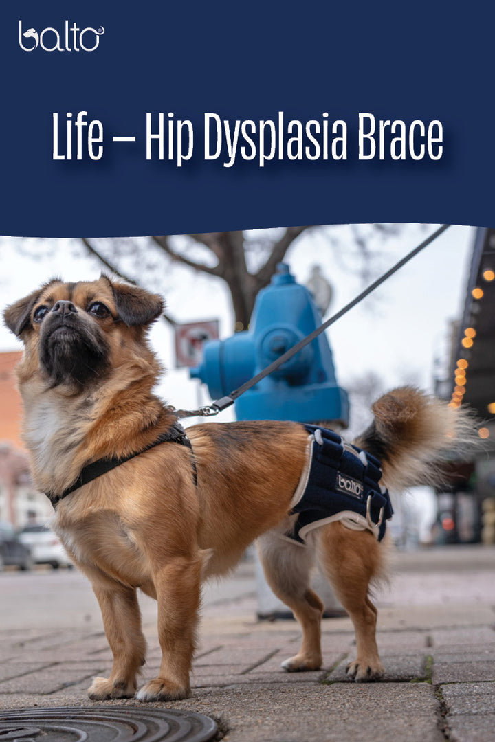 balto life brace tutorial overview video