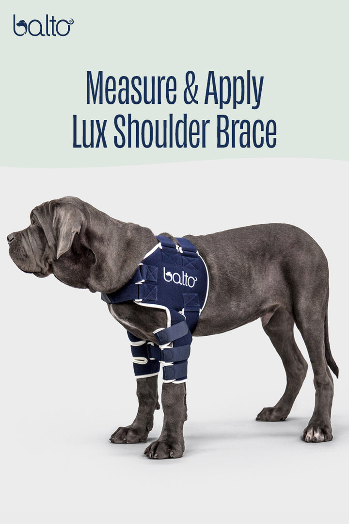lux measurement guide