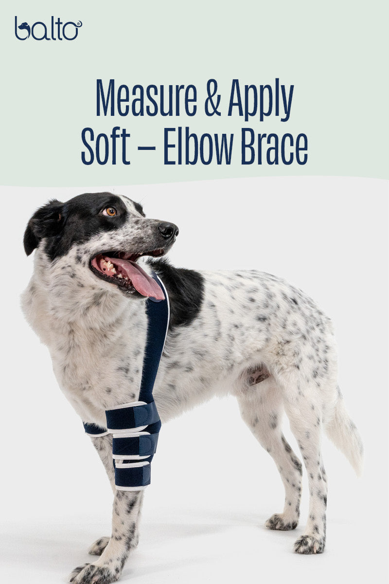 Soft – Elbow Brace