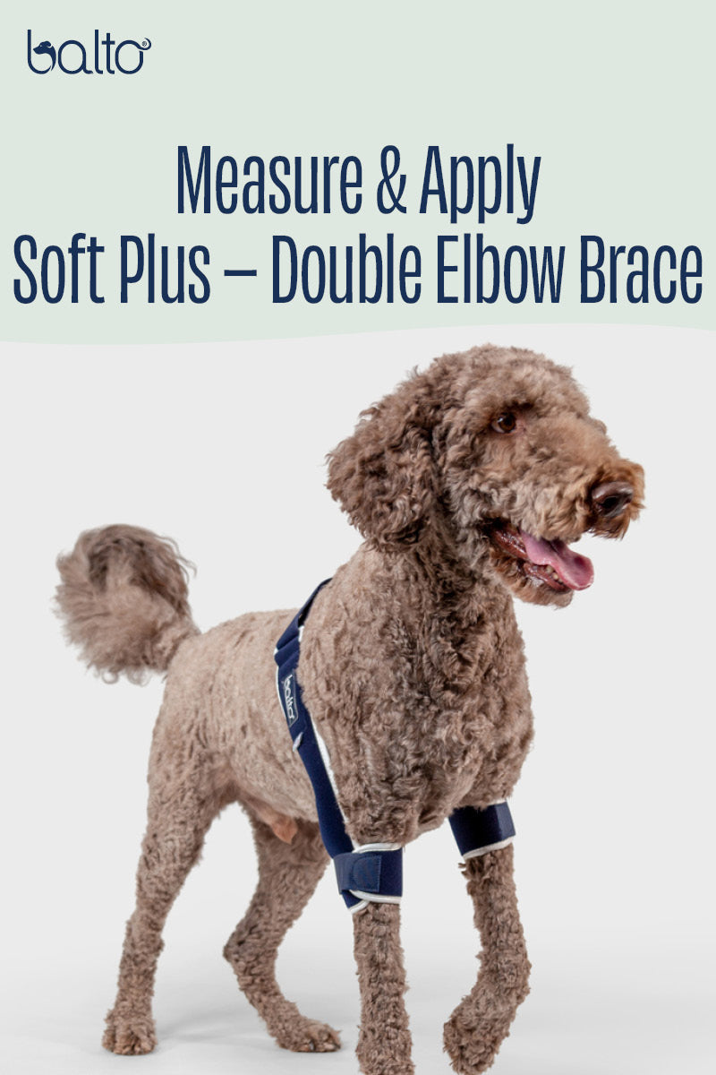 Soft Plus – Double Elbow Brace