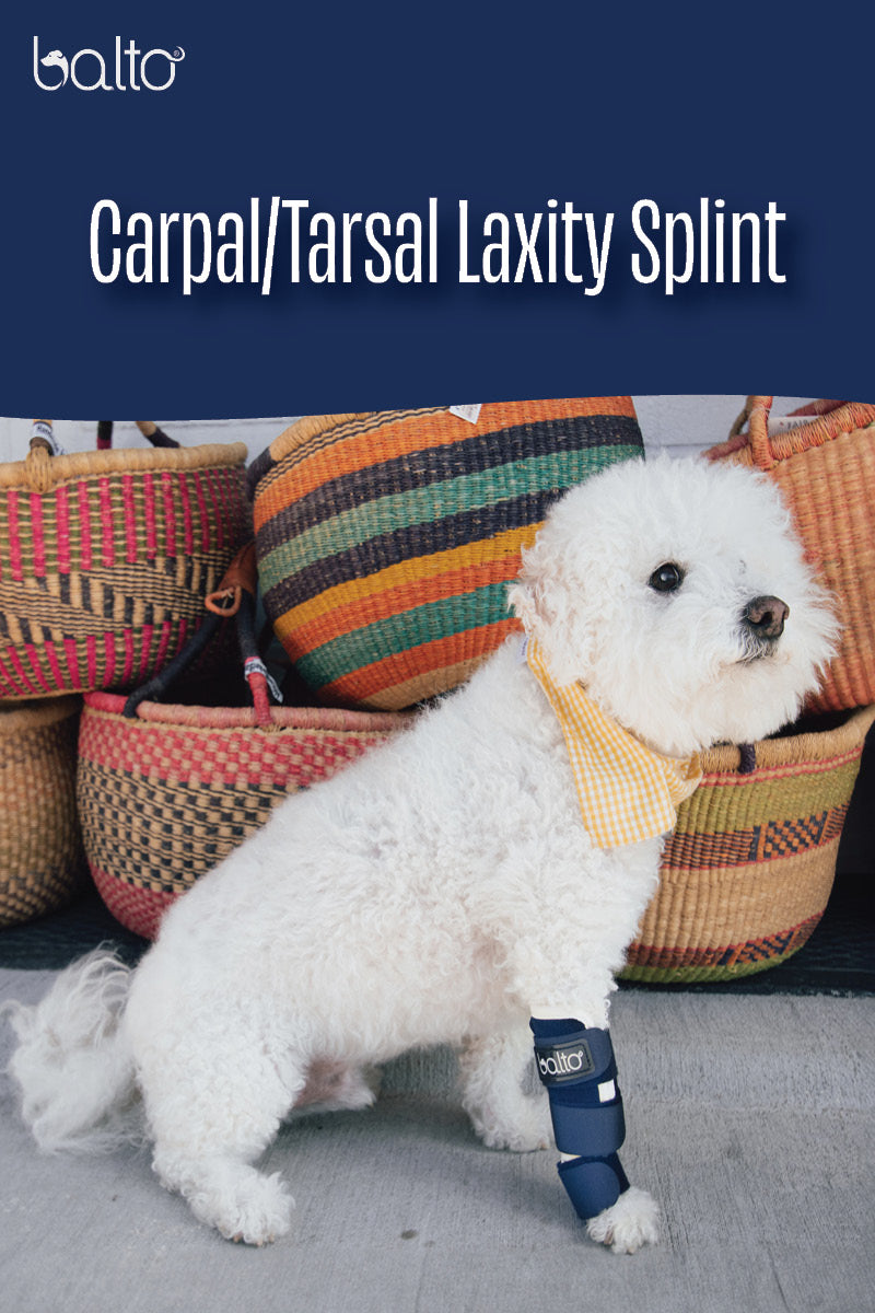 Splint – Carpal/Metatarsal Laxity Splint