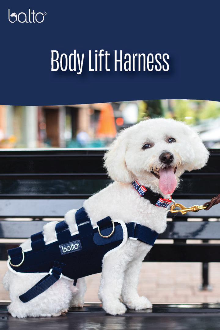 balto body lift overview video