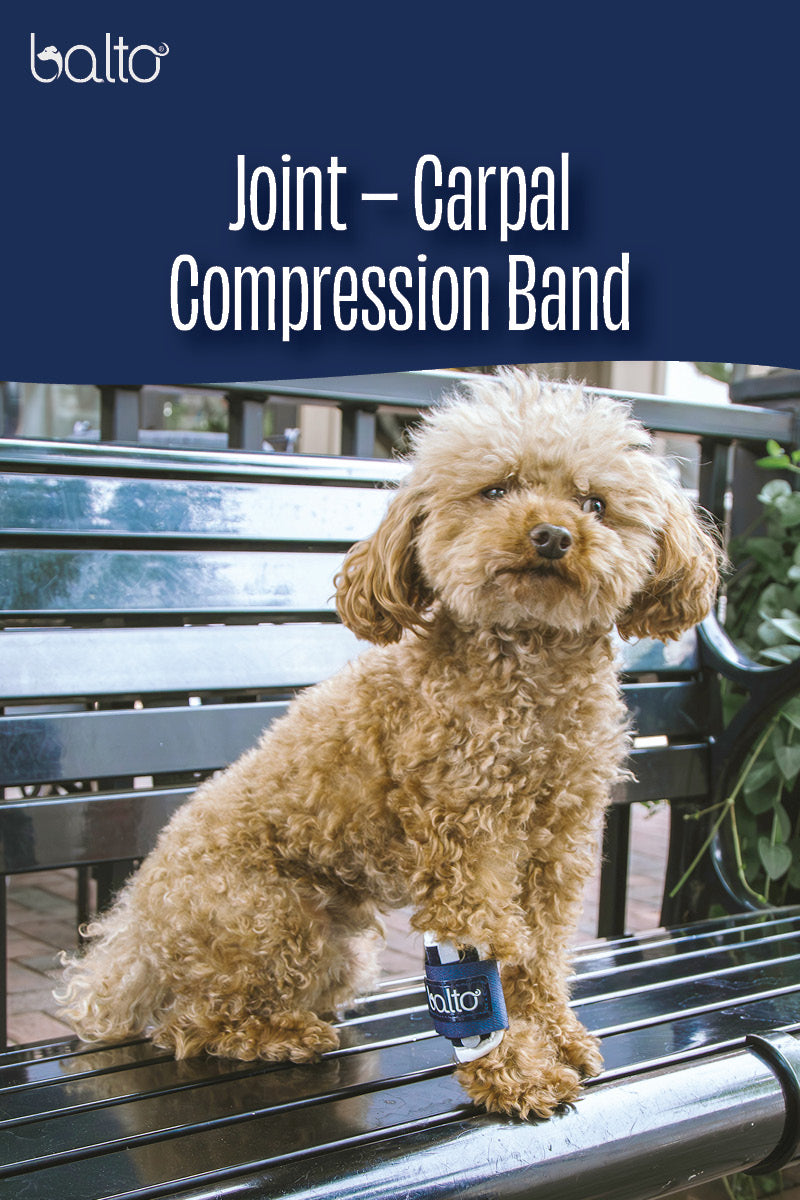 balto brace joint overview