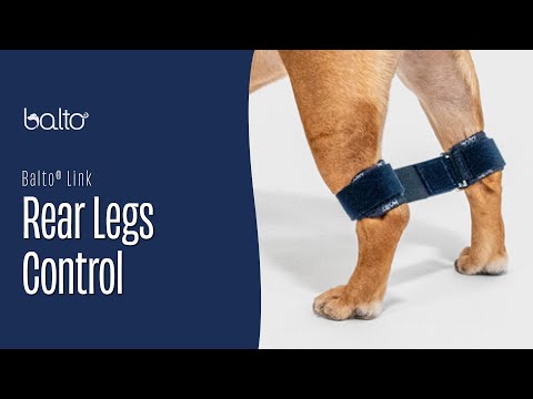 Link - Rear Legs Control