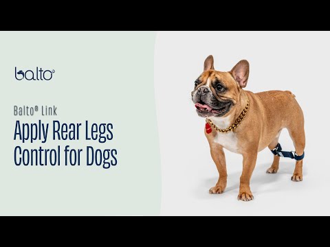 Link - Rear Legs Control