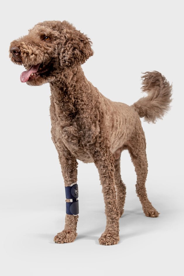 Joint – Carpal Compression Band