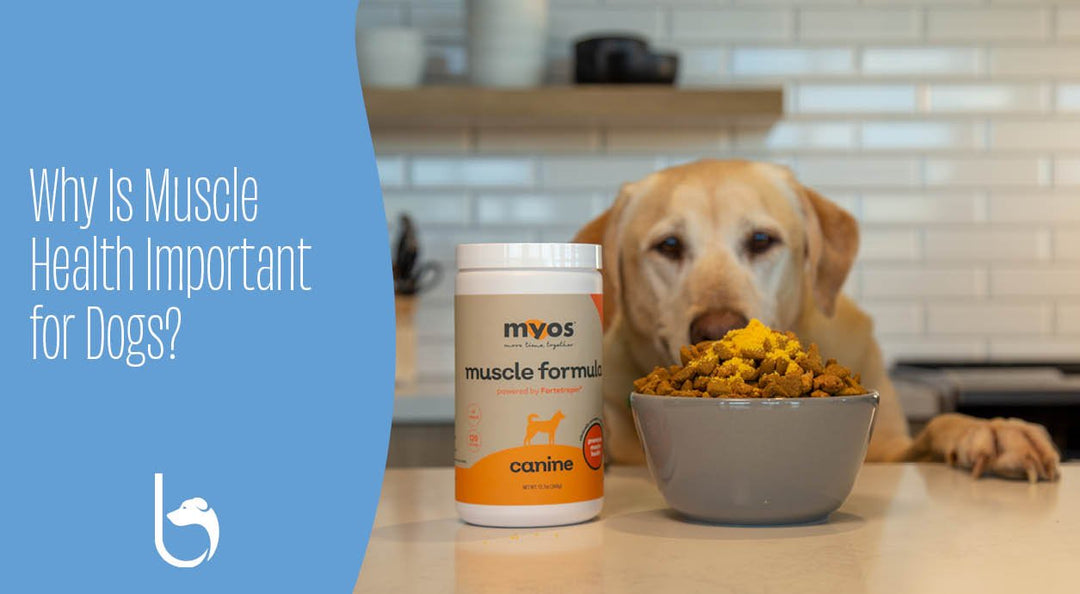myos for canine health shown on food