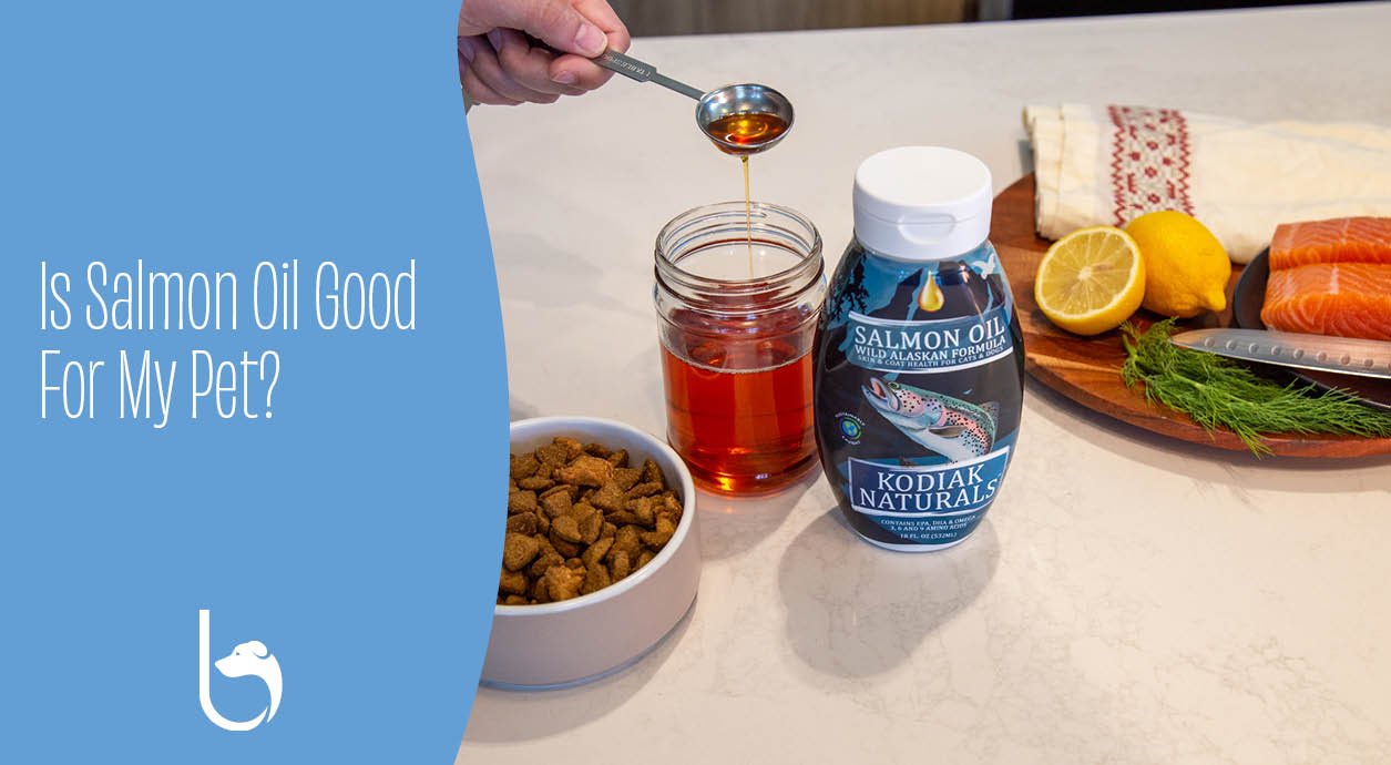 Is Salmon Oil Good For My Pet? Natural Salmon Oil Options Balto® USA