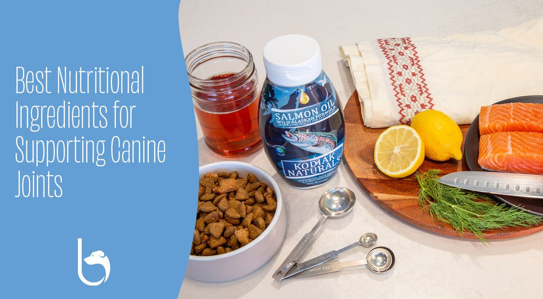 Best Nutritional Ingredients for Supporting Canine Joints