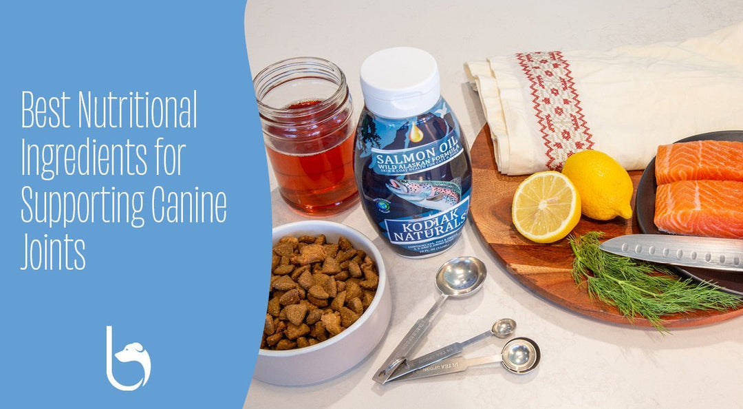 salmon supplements for canines