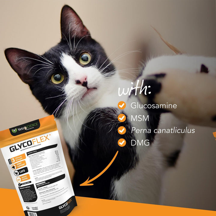 VetriScience GlycoFlex® Stage 3 Chews - Feline