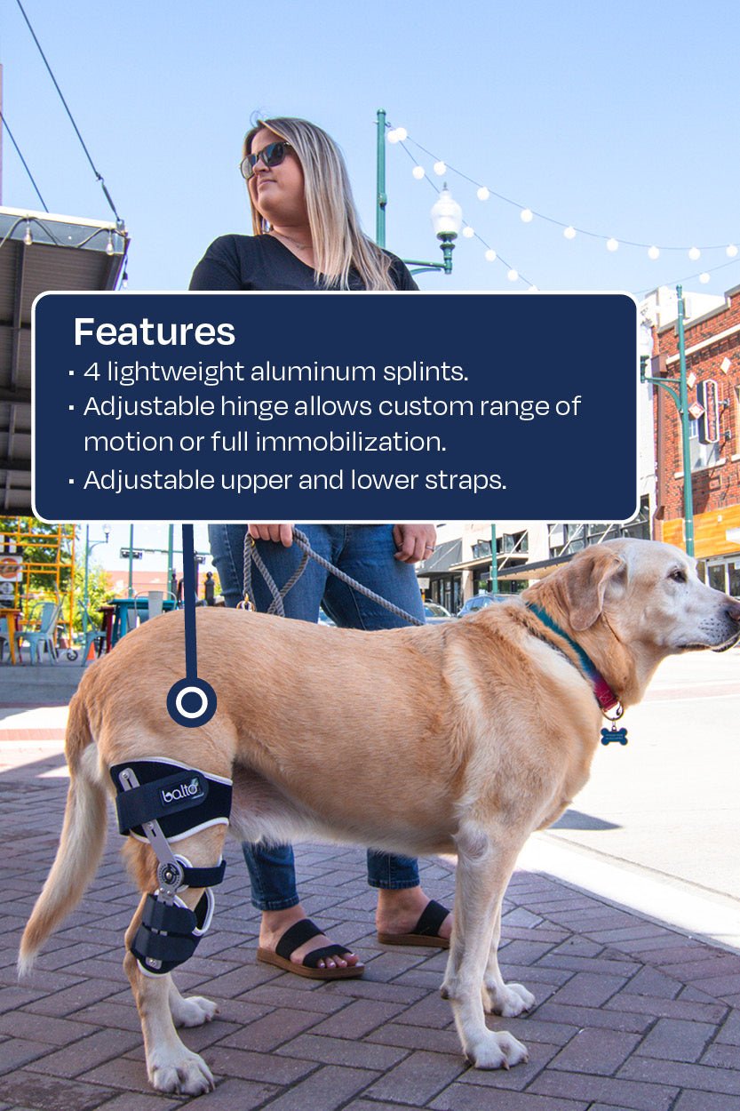 Balto® Ligatek Dog Knee Brace – Advanced Post-Surgery Support