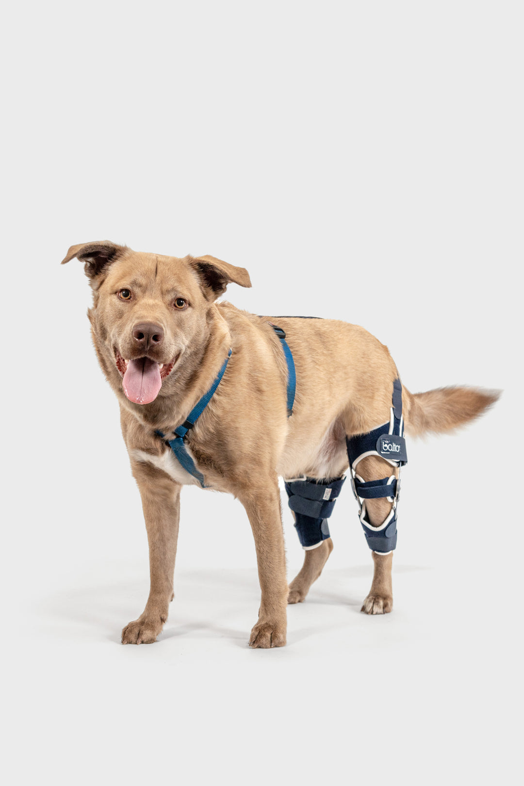 Left Advanced Knee Plus Balto® USA