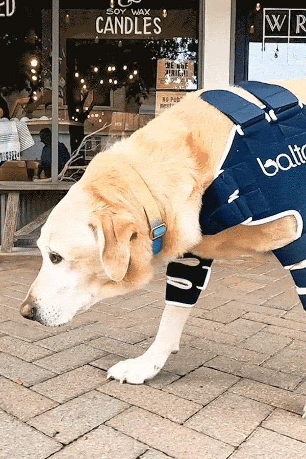 Balto® Braces | Balto® USA Balto® Braces | Balto® USA