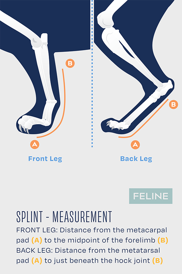 Cat Splint Splint Cat – Carpal/Metatarsal Laxity Splint for Felines | Balto® USA