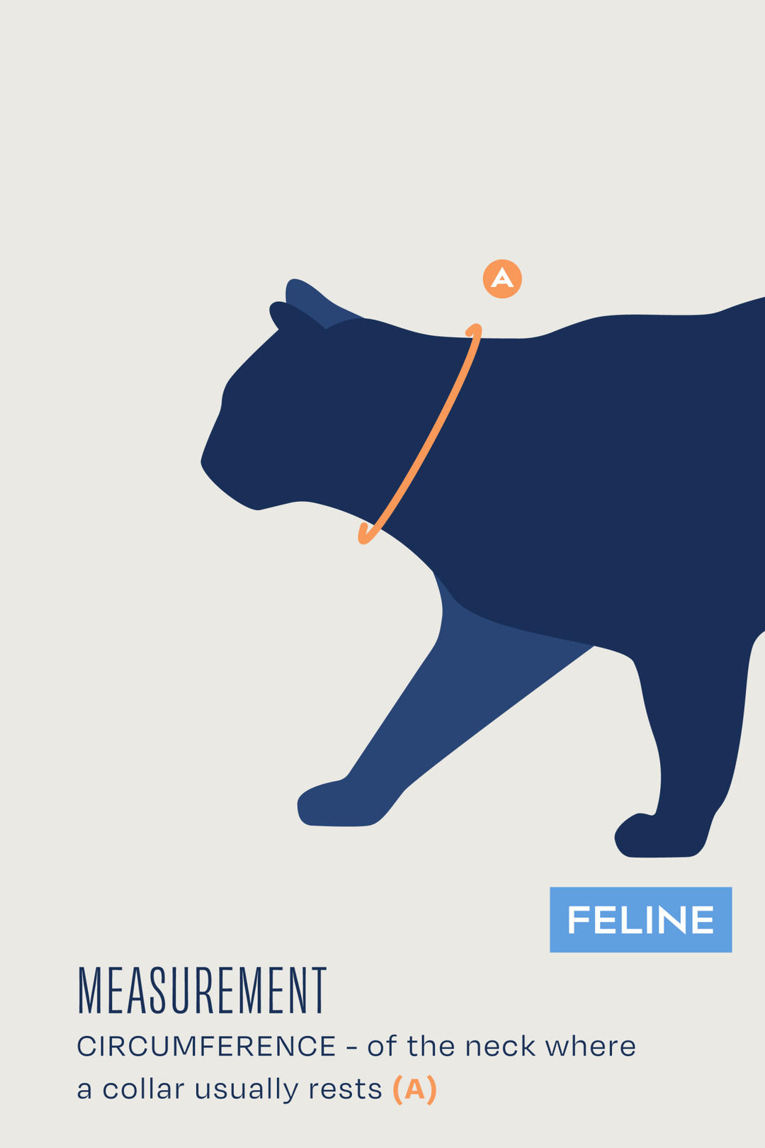 Neck Cat – Rigid Neck Brace for Felines
