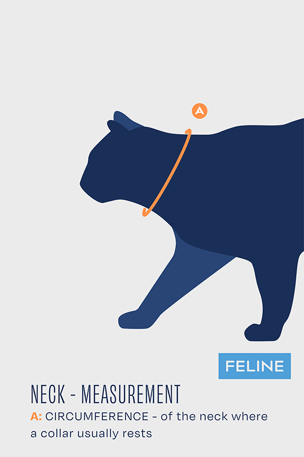 Neck Eco Cat – E-Collar Alternative for Felines