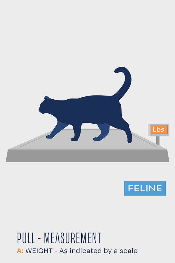 Pull Cat – Hyperflexion of Phalanges Brace for Felines