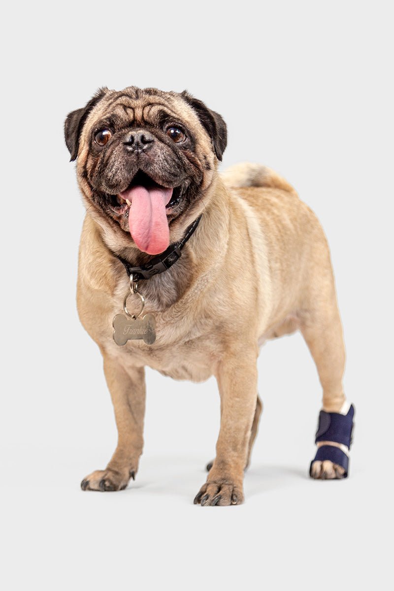 Splint – Carpal/Metatarsal Laxity Splint