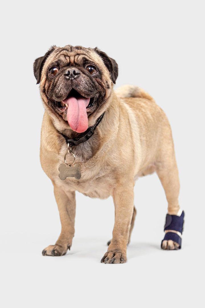 Splint – Carpal/Metatarsal Laxity Splint