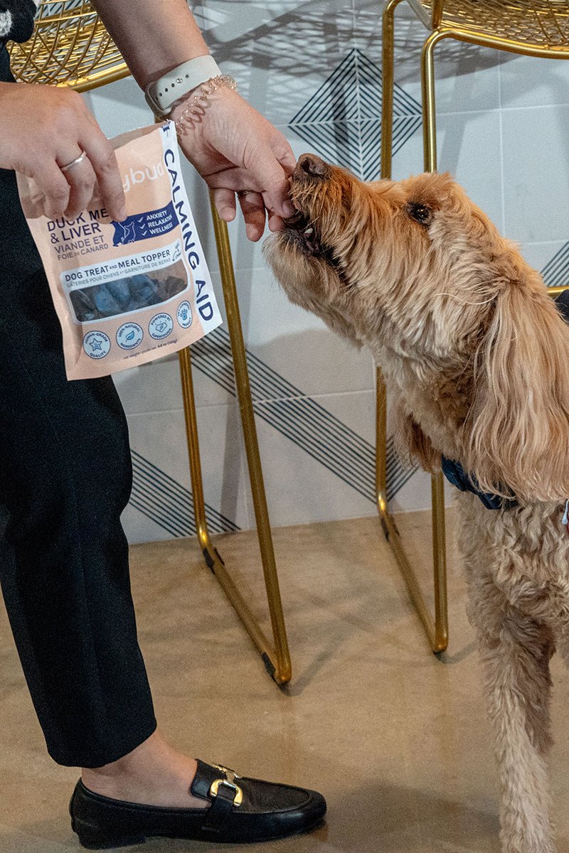 HealthyBud Calming Aid (Duck) 4.6 oz.