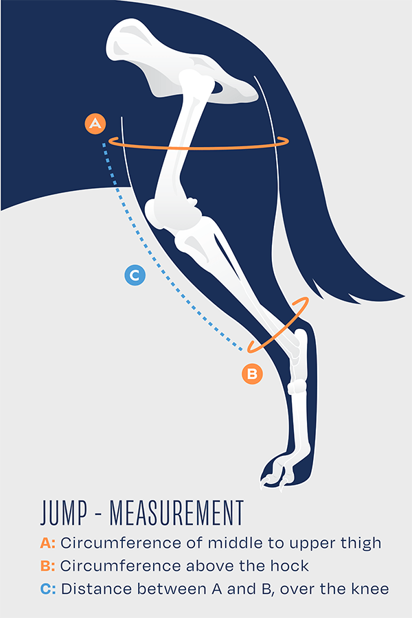 Right Advanced Knee Plus