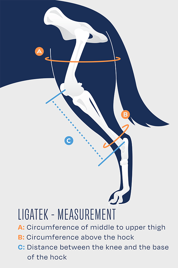 Right Advanced Knee Plus