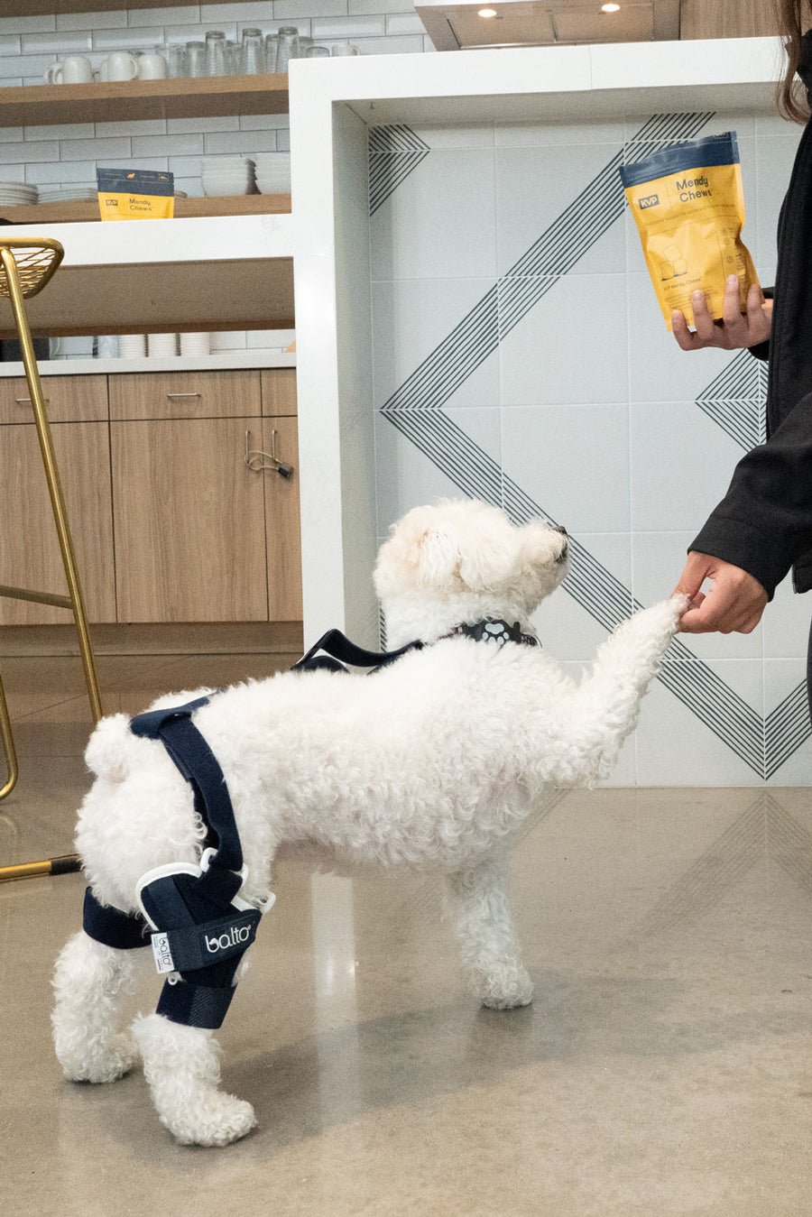 happy dog getting kvp mendy chews treat