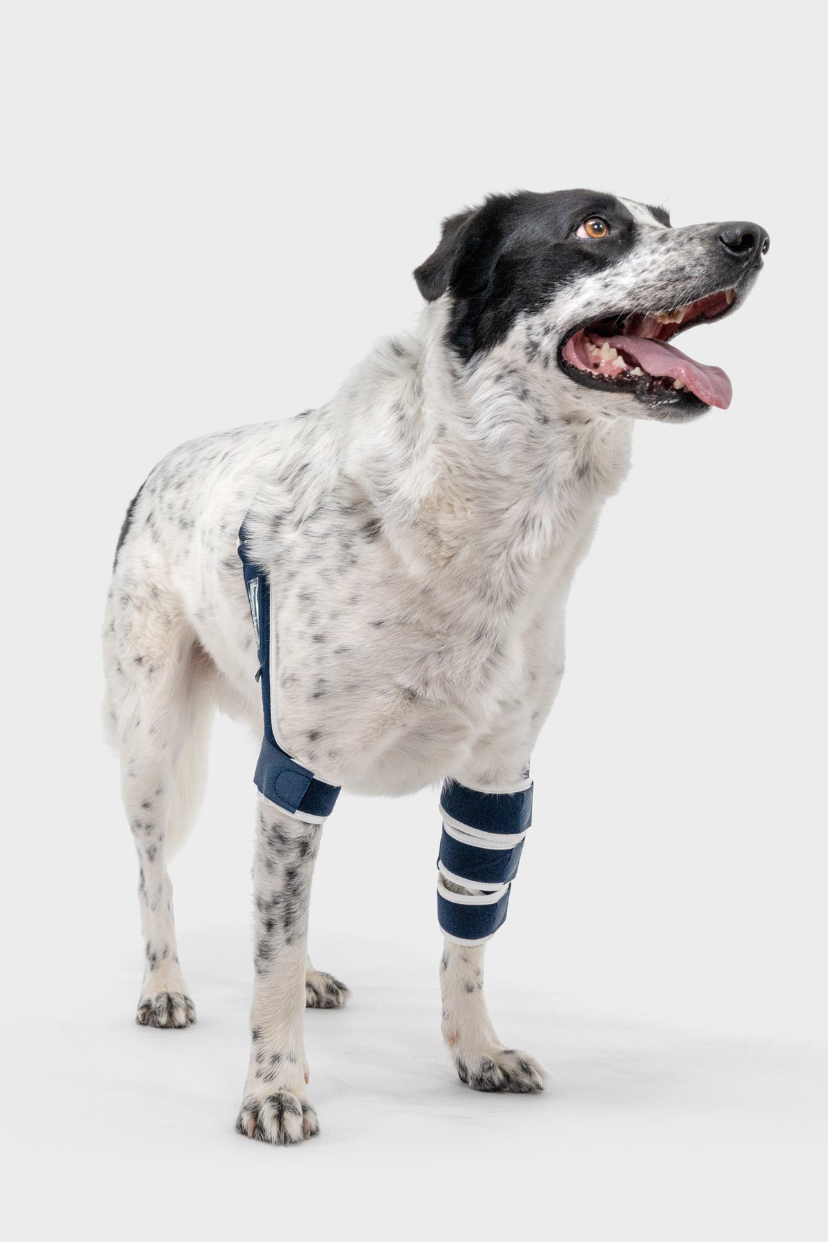 Balto® Braces | Balto® USA Balto® Braces | Balto® USA
