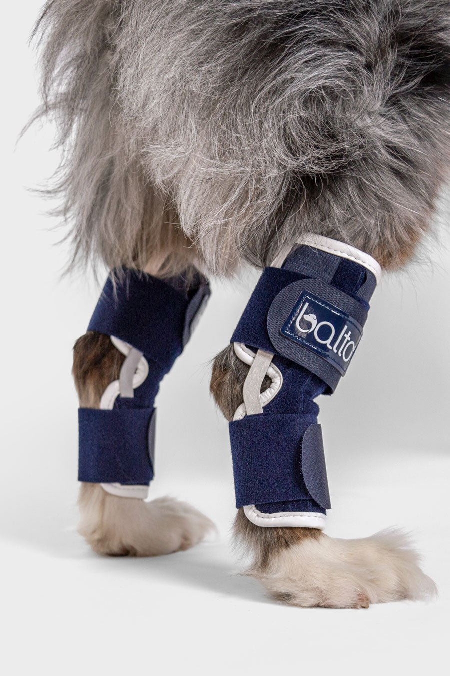 Dual Hock Brace