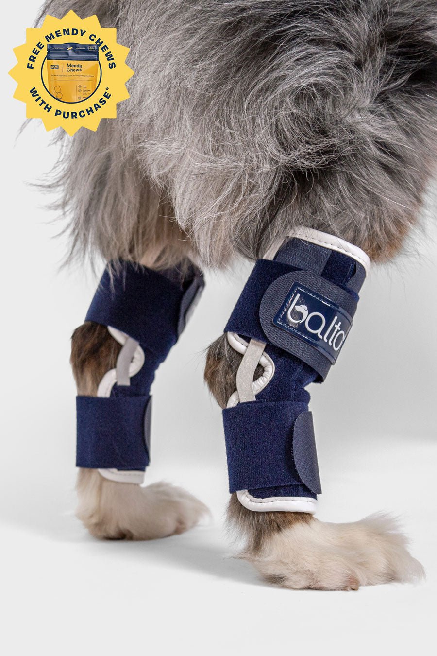 Dual Hock Brace